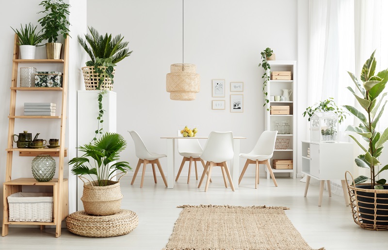 SUSTENTABILIDADE: APOSTE EM UMA CASA AMIGA DA NATUREZA