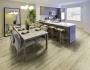 Essence-Premium-24023708-Acafrao_bz